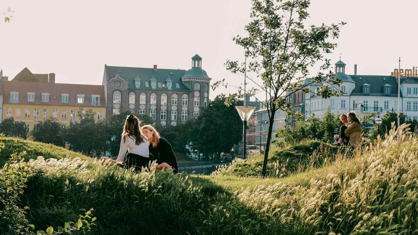 Kvinder sidder i græsset