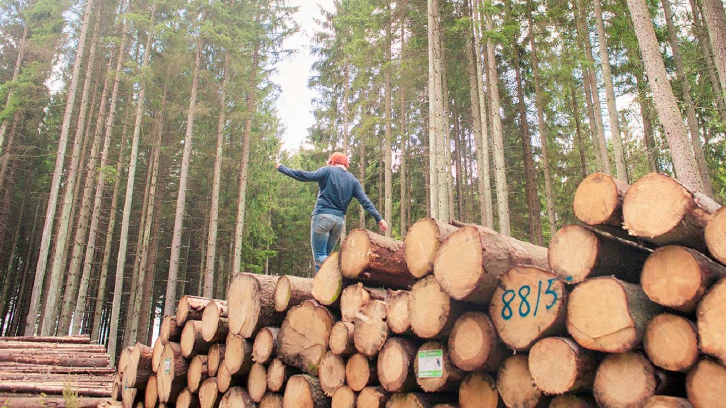 Danske Bank sets interim net zero targets for investment products