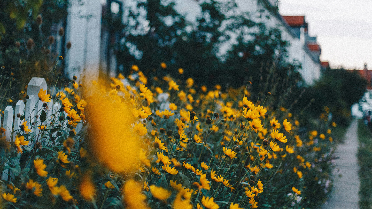 Berlin hovedbanegård