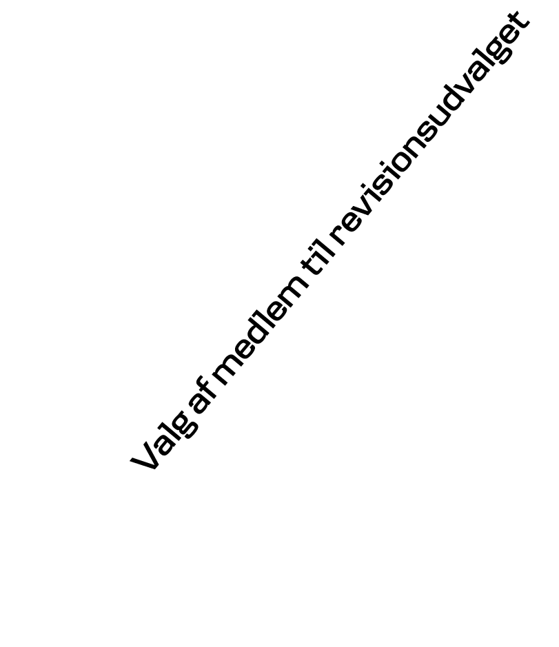 Valg af medlem til revisionsudvalget 